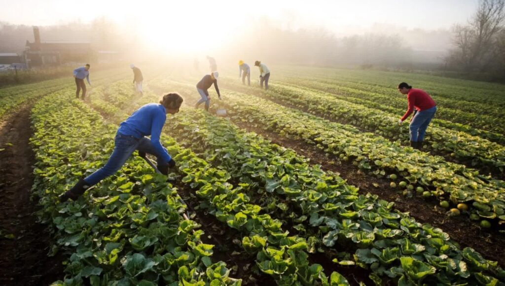 Premier séjour en ferme écologique: partir serein