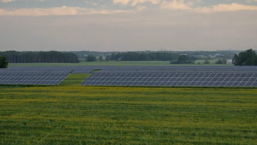 Premiers pas en permaculture : guide des techniques essentielles