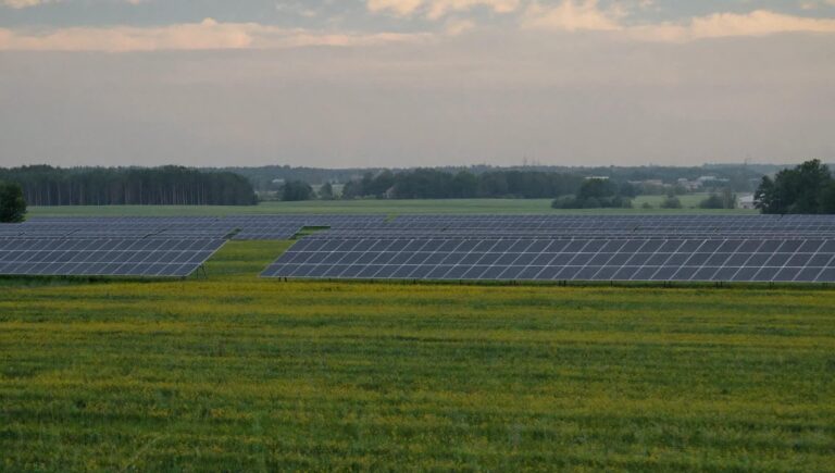 Premiers pas en permaculture : guide des techniques essentielles