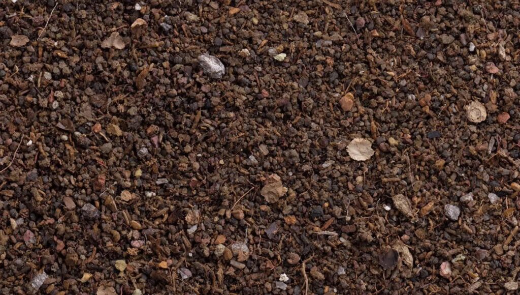 Volontariat agricole : quel véritable impact écologique ?