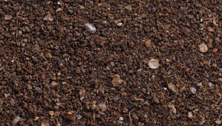 Volontariat agricole : quel véritable impact écologique ?