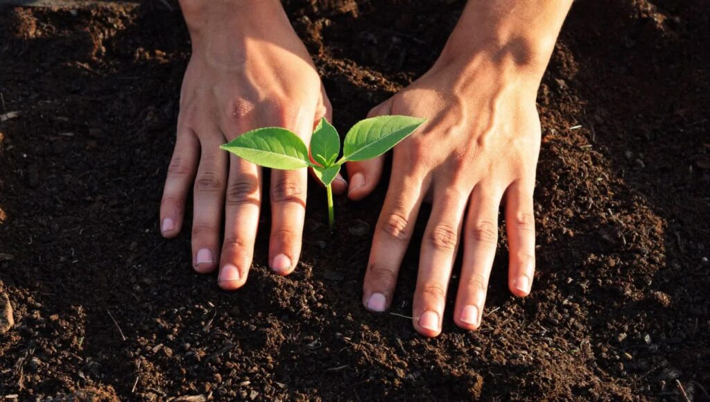 Volontariat en bio: bénéfices concrets pour la terre et l’humain