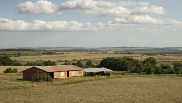 WWOOF en France, le vrai visage des témoignages